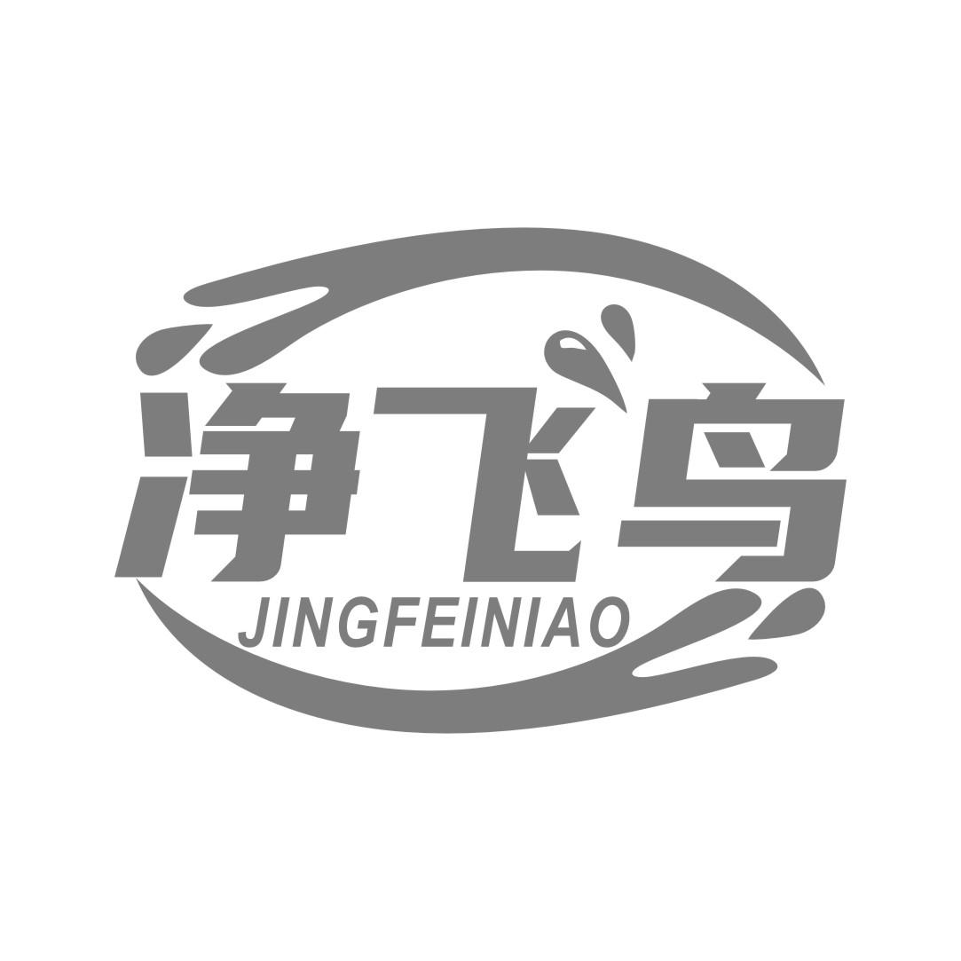 净飞鸟