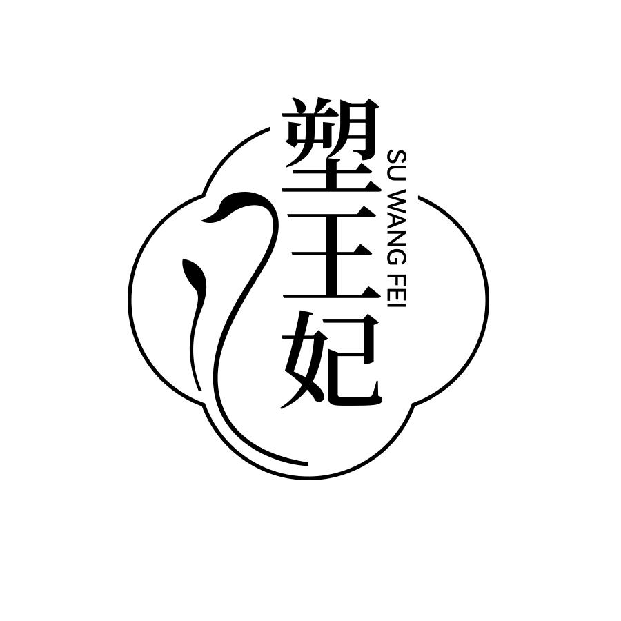 塑王妃