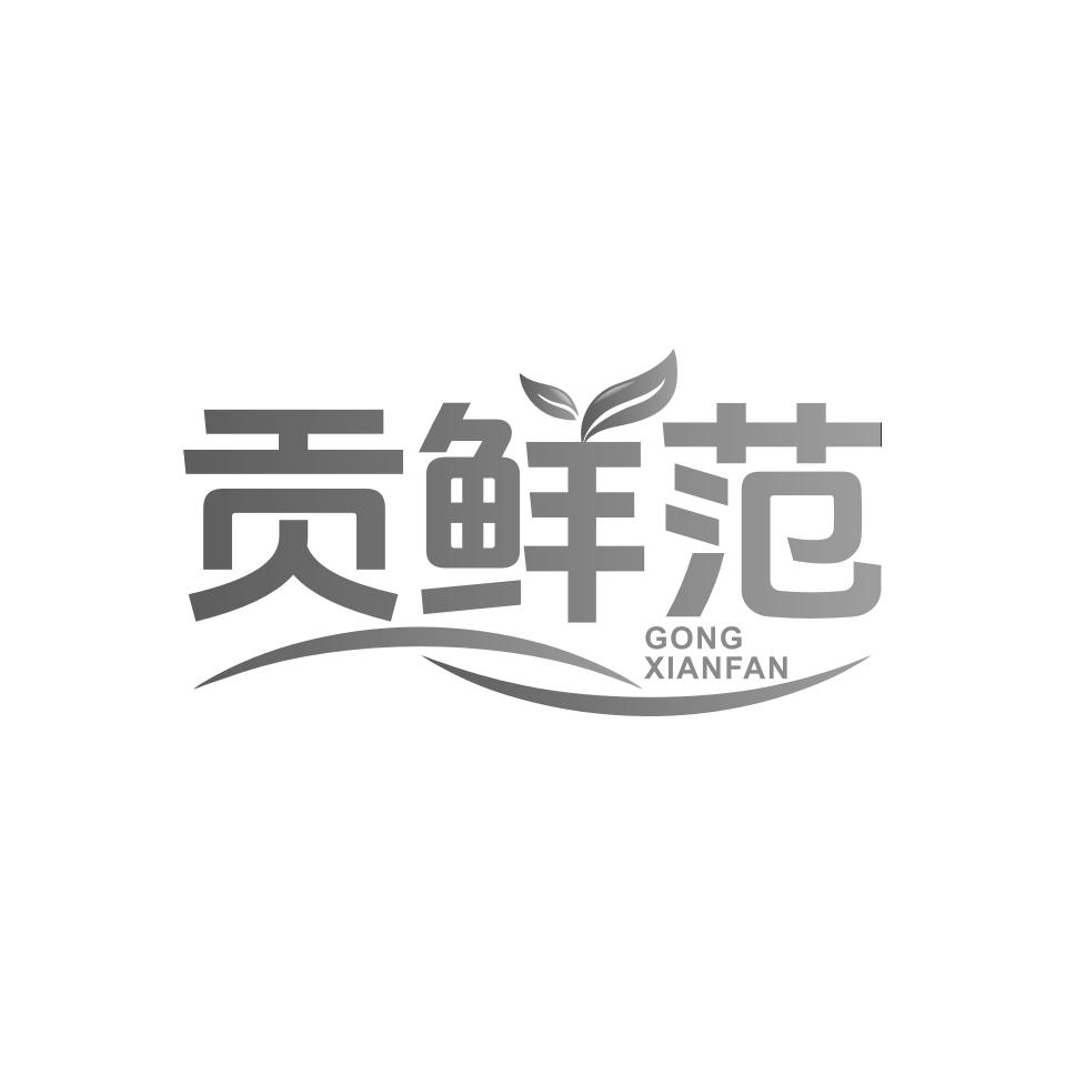 贡鲜范