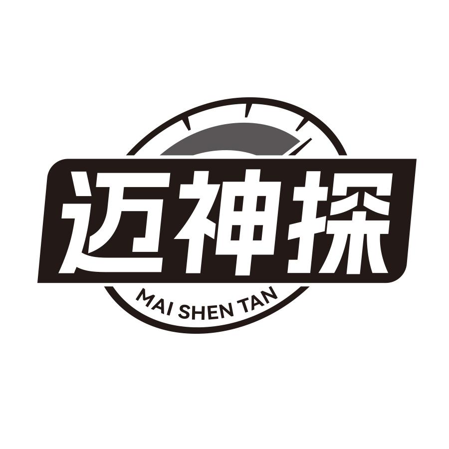 迈神探