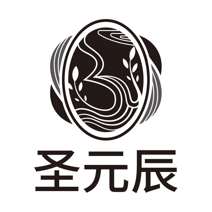 圣元辰